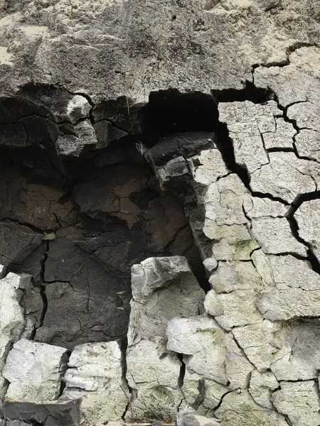 Kuru topraklarda çatlamış toprak