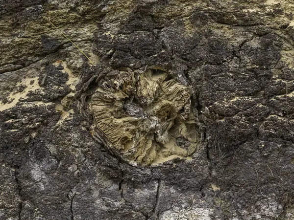 Eski taşın taş yüzeyi.