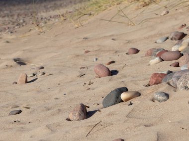 Deniz çakıl taşları ve taşlar kumlu sahilde yatıyor.