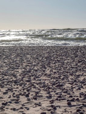 Baltık deniz kıyısı, kumlu bir sahil, baltık denizi