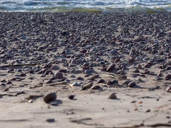 İsrail 'in kuzeyinde, Baltık Denizi kıyısında.
