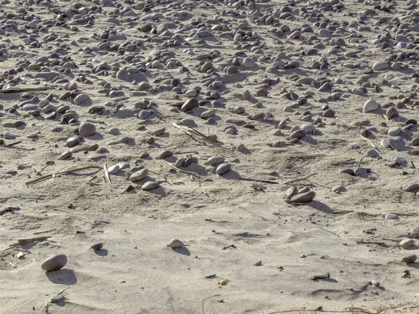 Alman kuzey sahilinde, Baltık Denizi 'nin sahilinde. Deniz kıyısında.