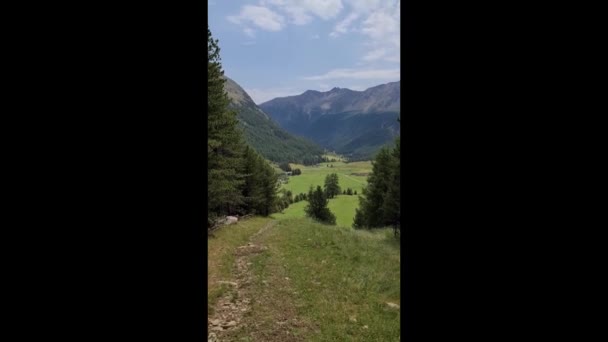 我们走在意大利阿尔卑斯山的一条山路上 高山周围 青翠的高山草甸 针叶林 — 图库视频影像