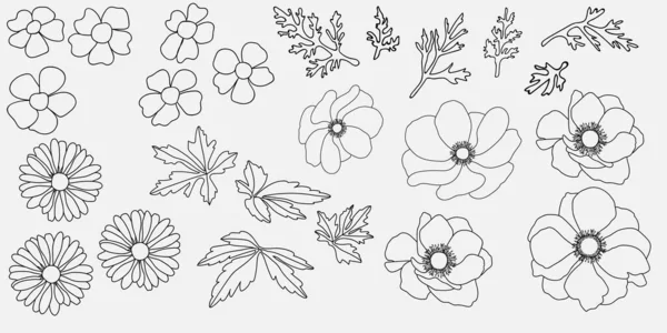 Ilustracja Kwiatów Liści Białym Tle Ilustracja Wektora — Wektor stockowy