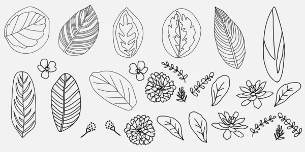 Illustration Der Blumen Und Blätter Auf Weißem Hintergrund Vektorillustration — Stockvektor