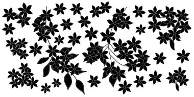 Çeşitli çiçek desenleri olan şık siyah beyaz desenler. Ayrıntılı, kusursuz bir tasarım.