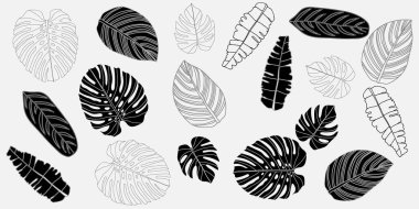 Çeşitli çiçek desenleri olan şık siyah beyaz desenler. Ayrıntılı, kusursuz bir tasarım.