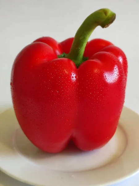 Red Bell Pepper Elszigetelt Fehér Alapon — Stock Fotó