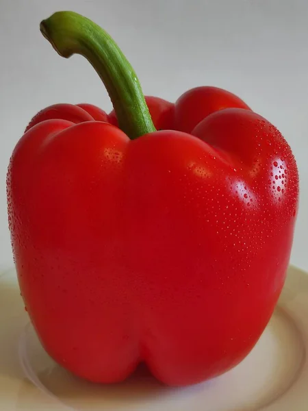 Fresh Ripe Red Pepper White Background — Stockfoto
