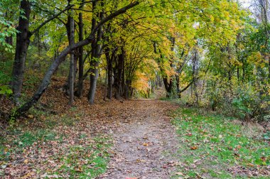 La-Ho Patikasında Sonbahar Yürüyüşü, Codorus Eyalet Parkı, Pennsylvania ABD, Hanover, Pennsylvania