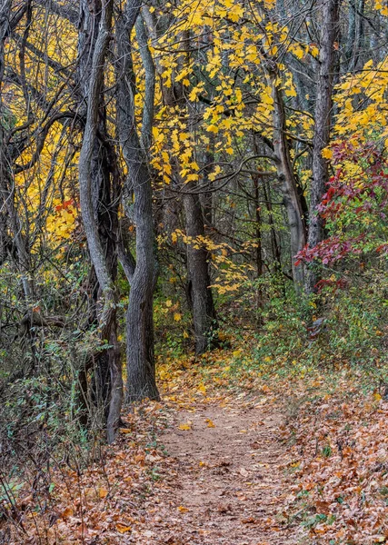 Ein Schöner Herbsttag Zum Wandern Pennsylvania Codorus State Park York — Stockfoto