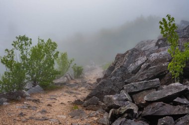 Blackrock Zirvesi 'nden Sis Altında, Shenandoah Ulusal Parkı Virginia, ABD