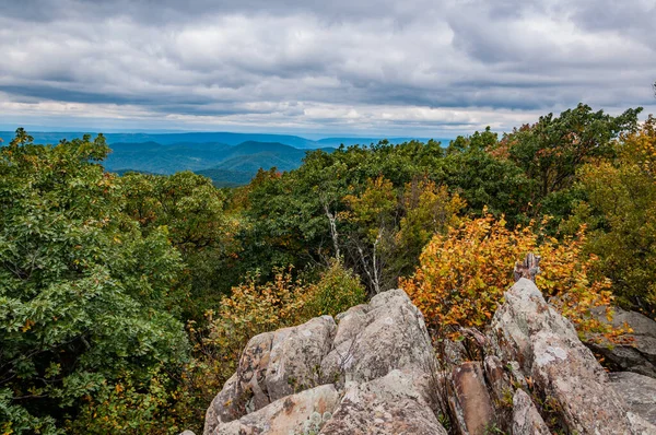 Early Autumn Colors Virginia Shenandoah National Park Usa Virginia — Stock Photo, Image