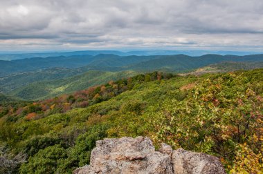Shenandoah Ulusal Parkı 'nda Değişen Mevsimler, Virginia ABD, Virginia