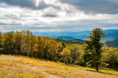 Shenandoah Ulusal Parkı Virginia, Virginia 'da Parlak Sonbahar Renkleri