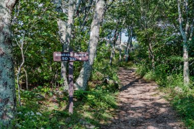 Hawksbill Zirvesi Yolu, Shenandoah Ulusal Parkı, Virginia ABD, Virginia