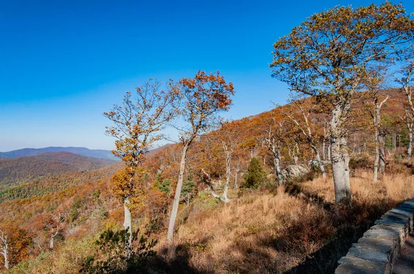 Autumn View Skyline Drive Turnout Virginia Usa Virginia — Stockfoto