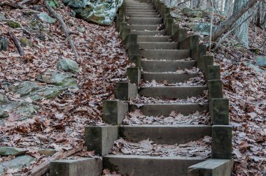 The Stairway to the Summit, Turk Mountain Virginia USA, Virginia
