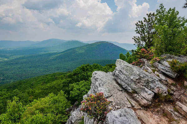 Amazing West Virginia Views, USA, West Virginia