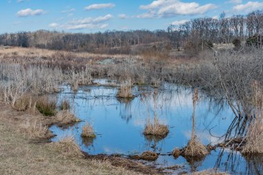 Beaver Pond Reflections on a Late Winter Afternoon, Pennsylvania USA, Pennsylvania