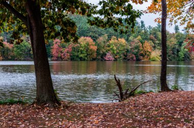 Güney York County, Pennsylvania ABD, Pennsylvania 'da sonbahar