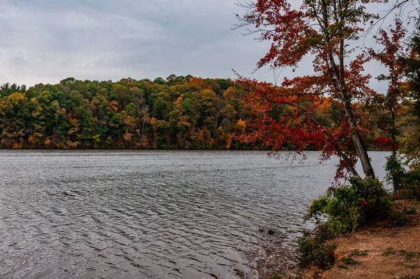 Fall Day Lake Williams York County Pennsylvania Usa Pennsylvania — Stock Photo, Image
