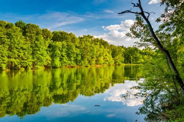 Bir Bahar Öğleden Sonra Yansımaları, Williams Gölü Pennsylvania ABD, Pennsylvania
