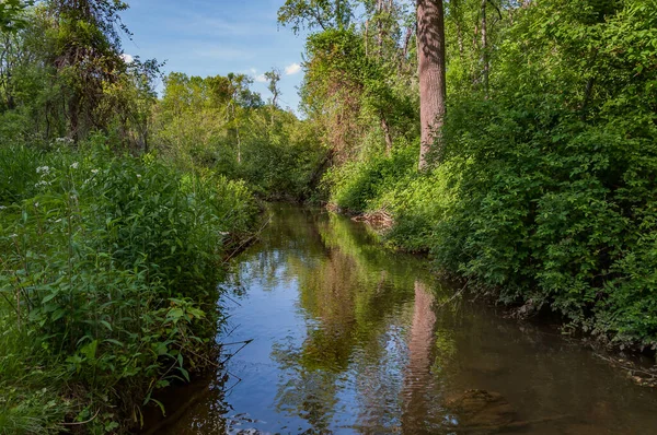 stock image A Creek on a Beautiful Spring Day, York County Pennsylvania USA, Pennsylvania