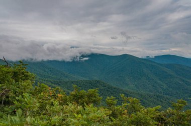 Appalachians, Virginia, Virginia 'da Ağustos Yağmuru