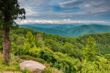 Bir Ağustos Öğleden Sonra Appalachian Dağları, Virginia ABD, Virginia