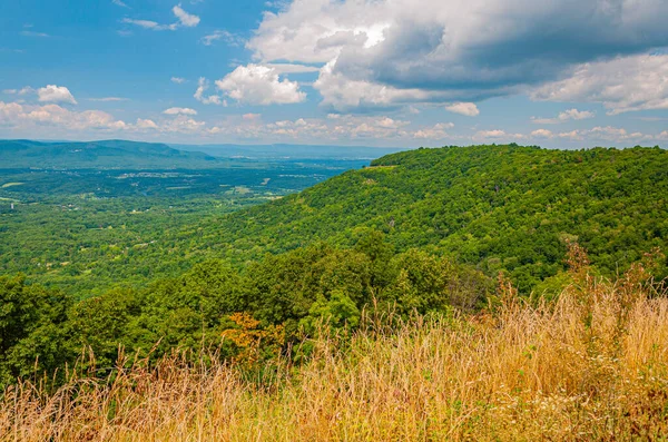 Early August Appalachian Mountains Virginia Usa Virginia — Stock Photo, Image