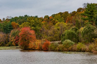 Güney York County, Pennsylvania ABD, Pennsylvania 'da Sonbahar Öğleden Sonra