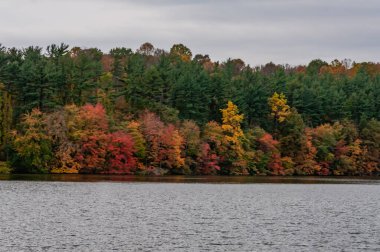 Yanan Sonbahar Renkleri Lake Williams, York County Pennsylvania ABD, Pennsylvania