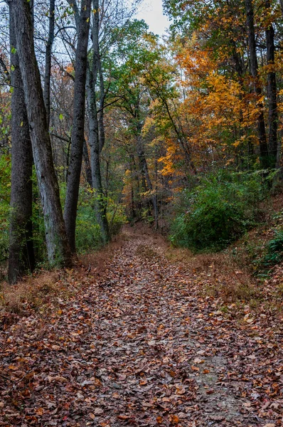 秋の午後のウィリアムズ湖への道 ニューヨーク郡ペンシルベニア州 ペンシルベニア州 — ストック写真