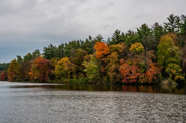Pensilvanya Pennsylvania Williams Gölü Nde Yağmurlu Sonbahar Öğleden Sonrası — Stok fotoğraf