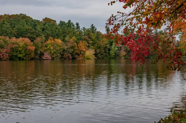 Mükemmel Sonbahar Öğleden Sonrası Williams Gölü, York County Pennsylvania, ABD