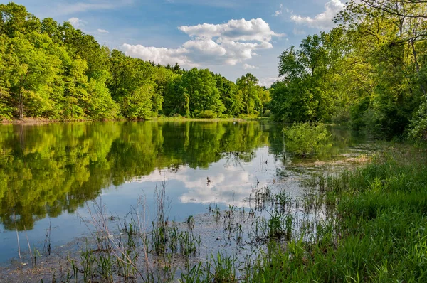 stock image A Perfect Afternoon at Lake Williams, York County Pennsylvania USA, Pennsylvania