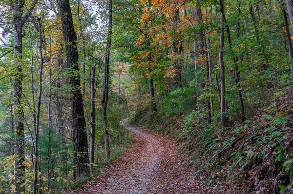 Wanderung Zum See Einem Schönen Herbstnachmittag York County Pennsylvania Usa — Stockfoto