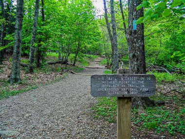 Shenandoah Ulusal Parkı, Virginia, Virginia 'daki AT üzerinde en yüksek nokta.