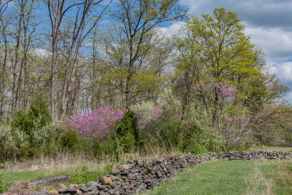 Tavaszi Séta Gettysburg Battlefieldben Pennsylvania Usa Gettysburg Pennsylvania — Stock Fotó