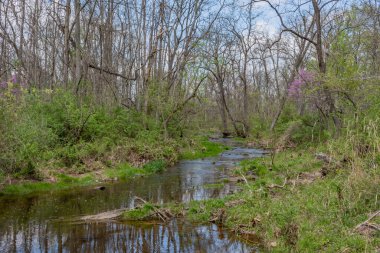 Willoughby Run on a Spring Afternoon, Gettysburg Pennsylvania ABD, Gettysburg, Pennsylvania