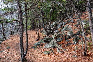 Binlerce Basamak Yolu boyunca kayalar Pennsylvania, ABD, Pennsylvania