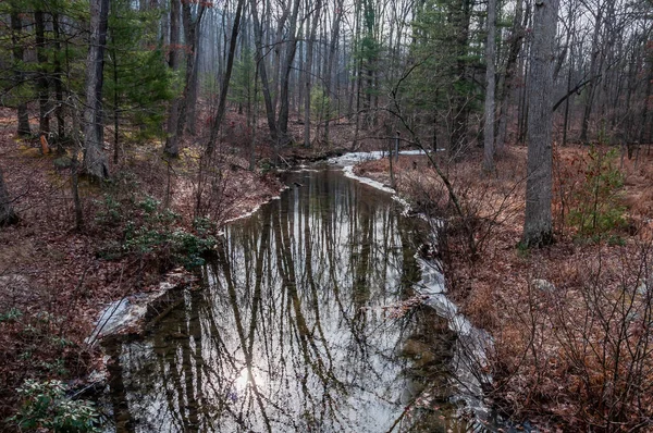 Winter Reflections Pennsylvania Сша Пенсильвания — стоковое фото