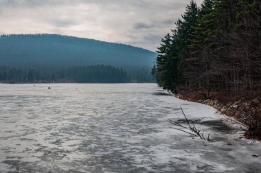 Donmuş bir gölün kıyı şeridi, Pennsylvania ABD, Pennsylvania