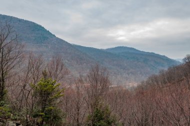 The View from the Thousand Steps Trail, Pennsylvania ABD, Pennsylvania