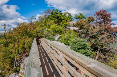 Köprüden Zirveye, Büyük Schloss Dağı, Virginia ABD