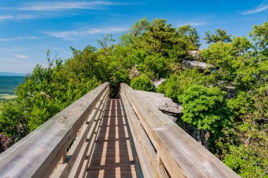 Virginia, Big Schloss Zirvesi 'ne Yaz Başları Yürüyüşü