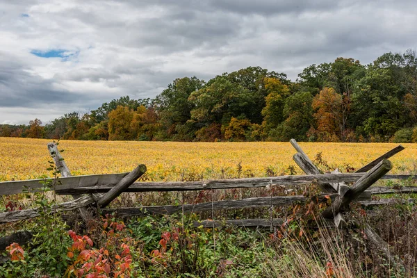 Fields Aglow Autumn Colors Gettysburg Pennsylvania Usa — Stock Photo, Image