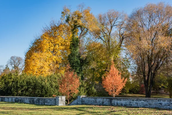 Pennsylvania, ABD 'de Mükemmel Bir Sonbahar Sabahı