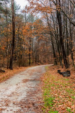Yağmurlu bir günde Kuzey Merkez Demiryolu Yolu, Monkton Maryland ABD